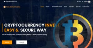 Forex Market Income