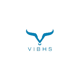 VIBHS Review