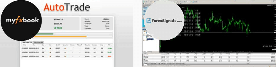 Royal Financial Trading social trading Royal Financial Trading social trading