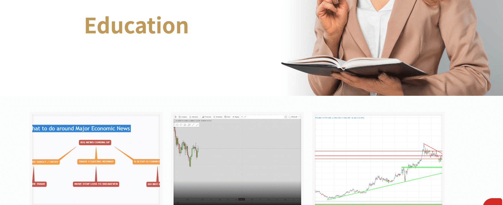Z.com Bullion Review Education