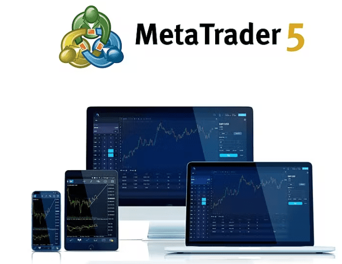 Accuindex Review Trading Platforms