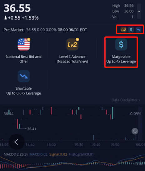 Webull Review Leverage