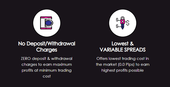 Cabana Capitals Review Fees