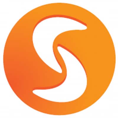 Synergy FX Review