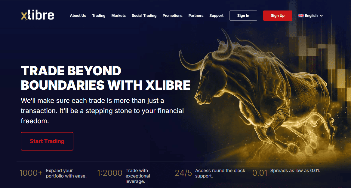 XLibre Website Review